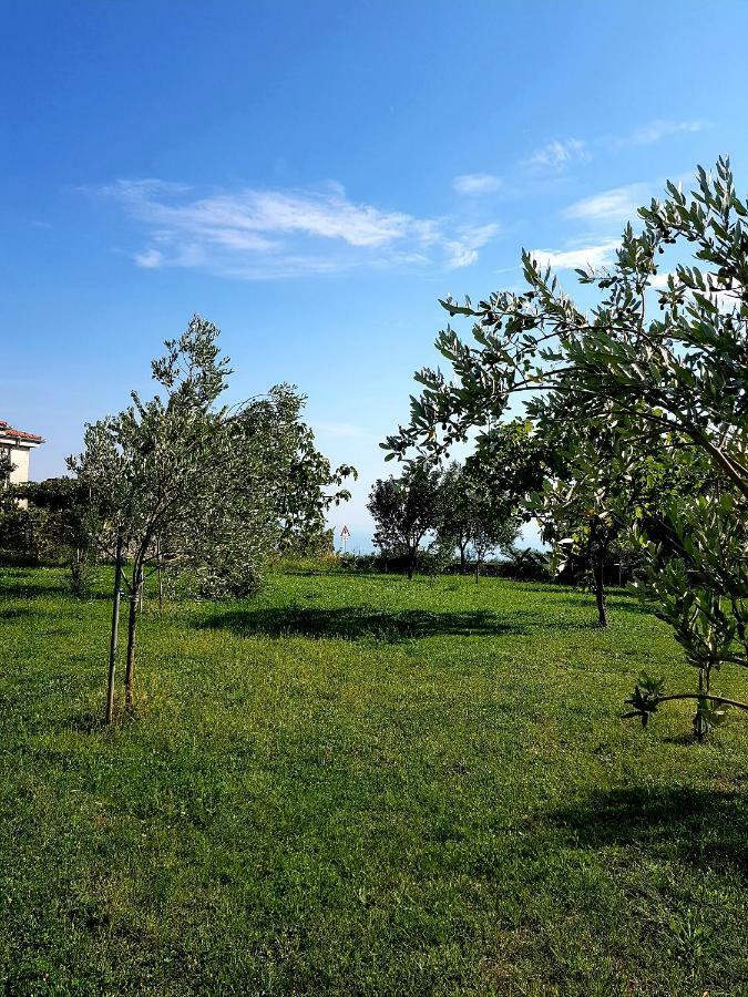 Apartmani Subasic Rubesi 外观 照片